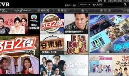 香港网民爆料四太子视频,四太子视频引发网络热议